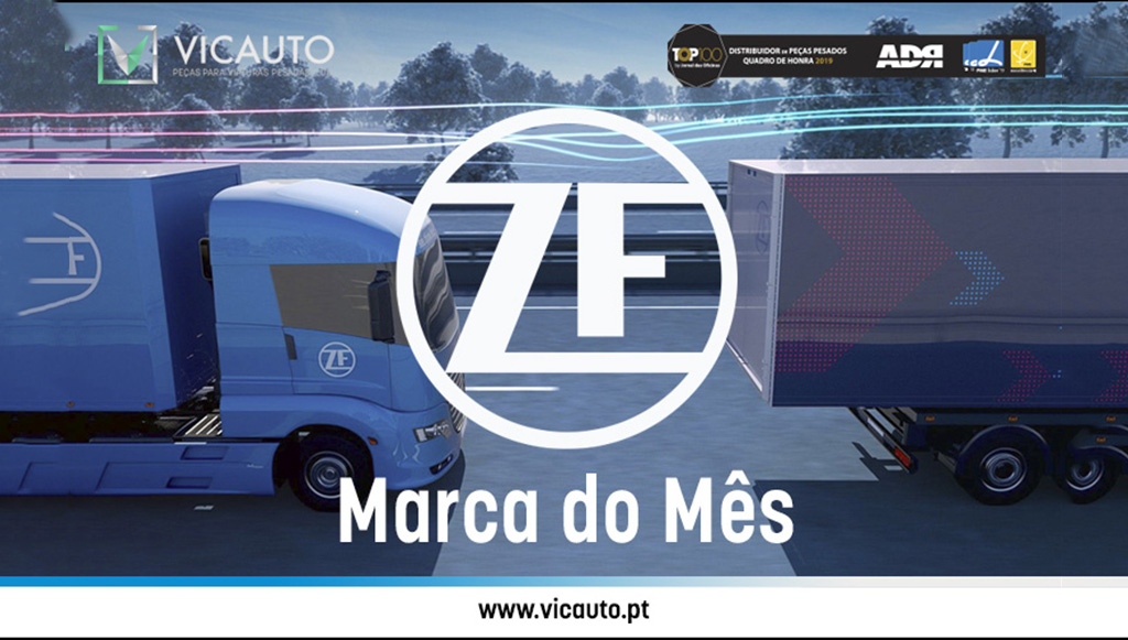 06 - Vicauto-destaca