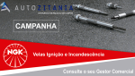 10 - Autozitânia-lança