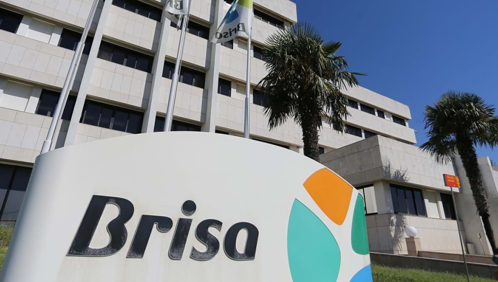 01 - Brisa-investe-55