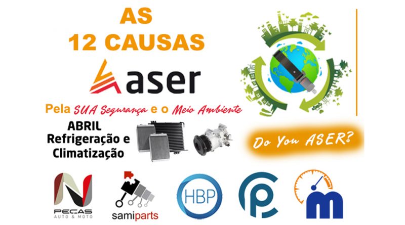 04 - 12-causas-ASER