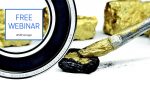 04 - SKF-realiza-Webinar