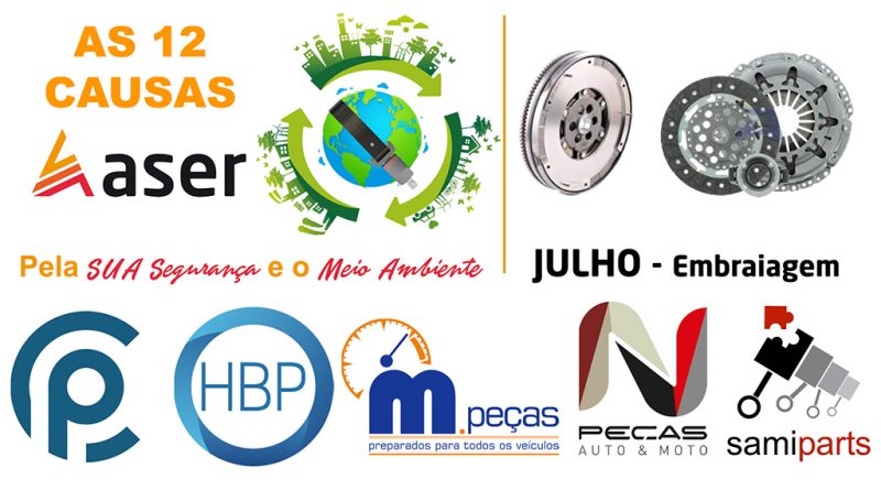 06 - 12-causas-ASER
