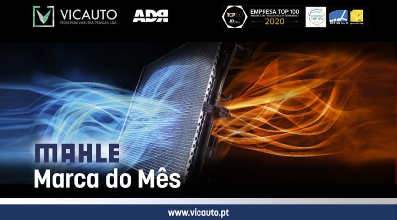 06 - Vicauto-continua-a-destacar