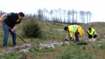 06 - Fundacao Cepsa planta 1.250 arvores no Pinhal Nacional de Leiria