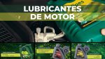 07 - Olipes divulga vídeo promocional das suas gamas de produto